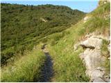 Plockenpass - Monte Coglians (Hohe Warte)