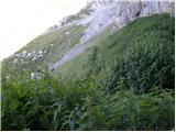 Plockenpass - Monte Coglians (Hohe Warte)