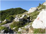 Plockenpass - Rifugio Marinelli