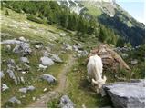 Untere Valentinalm - Rauchkofel