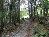 Untere Valentinalm - The lake Wolayer See