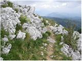 Rifugio Pelizzo - Monte Mataiur/Matajur