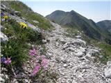 Tolminske Ravne - Vrh Planje (above Globoko)