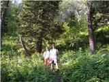 Rute (Zavrh) / Bärental - Planina Seča