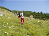 Dom Pristava in Javorniški Rovt - Barentaler Kotschna/Struška