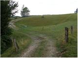 Slevo - Planjava pri Kamniškem vrhu