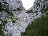 Kokra (Podlebelca) - Kalški greben