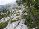 Rifugio Gilberti - Velika Bavha / Monte Robon