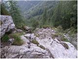 Bukovnik - Velika Raduha