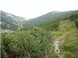 Rudnik v Topli - Velika glava (Peca)