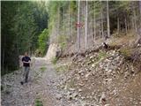Rudnik v Topli - Velika glava (Peca)