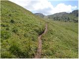 Passo Falzarego - Col Galina