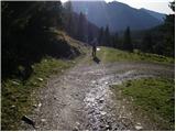 Rifugio Sorgenti del Piave - Monte Chiadenis