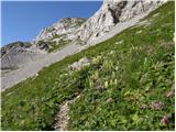 Rifugio Sorgenti del Piave - Monte Chiadenis