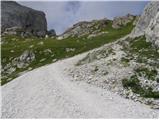 Rifugio Sorgenti del Piave - Monte Peralba
