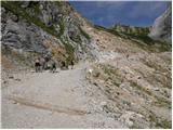 Rifugio Sorgenti del Piave - Rifugio Calvi