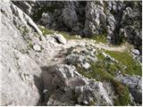 Rifugio Selvapiana I.Lunelli - Croda Sora I Colesei / Arzalpenkopf