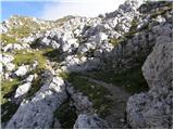 Rifugio Selvapiana I.Lunelli - Croda Sora I Colesei / Arzalpenkopf