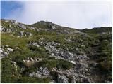 Rifugio Selvapiana I.Lunelli - Croda Sora I Colesei / Arzalpenkopf