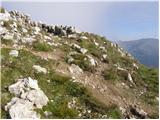 Rifugio Selvapiana I.Lunelli - Croda Sora I Colesei / Arzalpenkopf