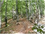 Soča - Planina nad Sočo