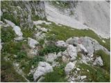 Zadnjica - Zasavska koča na Prehodavcih