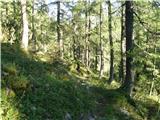 Planina Ravne - Veliki vrh (Veža)