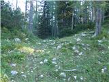 Planina Ravne - Jamarski bivak na Dleskovški planoti