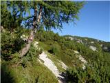 Planina Ravne - Jamarski bivak na Dleskovški planoti