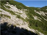 Planina Ravne - Jamarski bivak na Dleskovški planoti