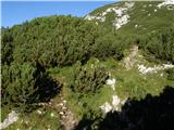 Planina Ravne - Jamarski bivak na Dleskovški planoti