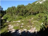 Planina Ravne - Caving bivouac on Dleskovška planota