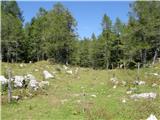 Planina Ravne - Jamarski bivak na Dleskovški planoti