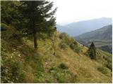 Planina Kuninja - Srednji vrh (above lake Jezero v Lužnici)