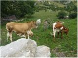 Planina Kuhinja - Batognica