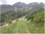 Planina Kuninja - Srednji vrh (above lake Jezero v Lužnici)