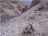 Rifugio Dibona - Tofana di Rozes