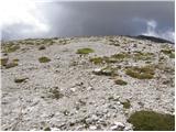 Passo Falzarego - Col dei Bos