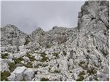 The Kot Valley - Visoka Vrbanova špica