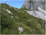 Planina Polog - Srednji vrh (above lake Jezero v Lužnici)