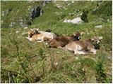 Planina Polog - Srednji vrh (nad jezerom v Lužnici)