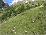 Planina Polog - Srednji vrh (above lake Jezero v Lužnici)