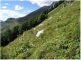 Planina Polog - Srednji vrh (above lake Jezero v Lužnici)