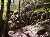 Gozd Martuljek - Rutarski Vršič