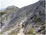 Rutarski gozd - Suha Rodica (Novi vrh)
