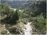 Pod Debelo glavo - Planina Poljana