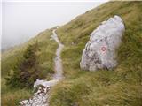 Planina Kuk - Vrh Planje (above Globoko)