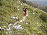 Planina Kuk - Vogel