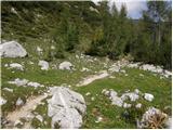 The Krma Valley - Visoka Vrbanova špica