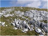 Rudno polje - Tosc